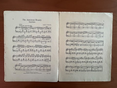 American Beauty waltz sheet music, 1904, By Allen Wilson