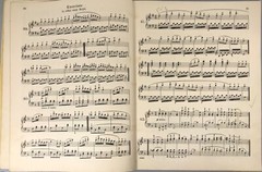Schirmer&rsquo;s Library – Volume 146 CZERNY Practical Method for Beginners OP. 599
