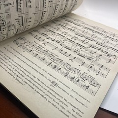 Vintage Theodore Presser Beethoven Sonatas Volume Two Piano Sheet Music Yellow