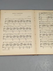 Antique Music Book THE WORLD&rsquo;S BEST MUSIC 1904 Volume VIII Volume 8