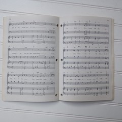 LOT OF 15 Southern Gospel Music Songbooks Homeland Presents Choral SATB 10 Songs