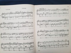 Pedal Studies for Piano Schirmer&rsquo;s Scholastic Series 1917