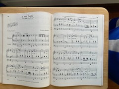 Show Tunes You Like to Remember, Cohn, 1970, Organ 17 Songs