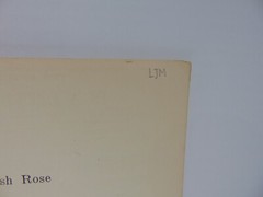 My Wild Irish Rose Duet Sheet Music Chauney Olcott 1922 M. Witmark & Sons