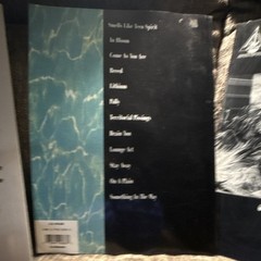 Nirvana Electric Guitar Song Books Hal Leonard Incesticide Nevermind Bleach