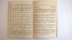 Witmark Choruses Sheet Music Songbook Three-Part Chorus Popular & Religious 1926
