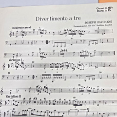 Joseph Haydn Divertimento A Tre Score Sheet Music Horn Violin Cello 1767 Vtg