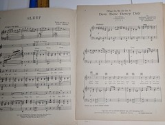 LOT 1920s Sheet Music SLEEP Fred Waring DEW-DEW-DEWY DAY Irving Berlin Ukulele