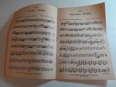 Polish Polka Dance Orchestra No. 3 by Louis Vitak 1920s Strings Brass Bass Drums