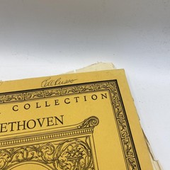 Vintage Theodore Presser Beethoven Sonatas Volume Two Piano Sheet Music Yellow