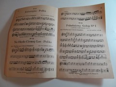 Polish Polka Dance Orchestra No. 3 by Louis Vitak 1920s Strings Brass Bass Drums