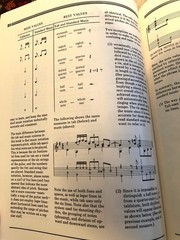RAGTIME BLUES (OAK ANTHOLOGY OF BLUES GUITAR) By Stefan Grossman – Instructional