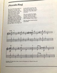 RAGTIME BLUES (OAK ANTHOLOGY OF BLUES GUITAR) By Stefan Grossman – Instructional