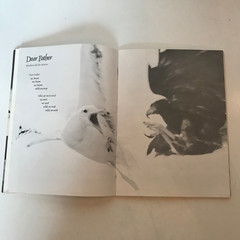 Neil Diamond Jonathon Livingston Seagull Music Song Book 1973