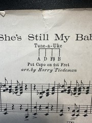 She&rsquo;s Still My Baby Piano Voice Sheet Music Raskin/Coslow/Little 1926 Waterson