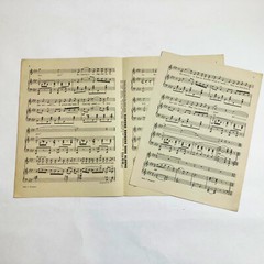 Sheet Masic Set of 3 Wonderful One The Blue Room Romance The Desert Song