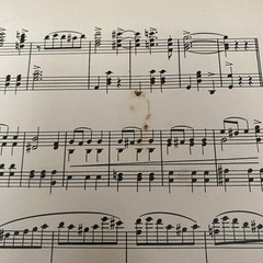 The Merry Widow Waltz 1933 Franz Lehar Piano Solo Unexcelled Edition