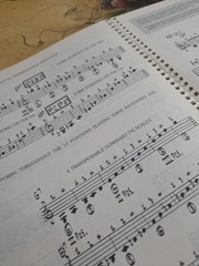 Vincent Bredice Jazz Guitar Lines Rare Book,1981 Edition 142 Pages Spiral