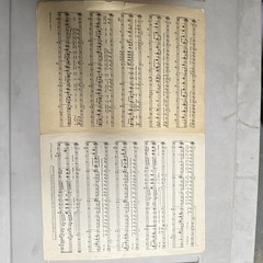 M. Witmark & Sons South America, Take It Away Call Me Mister Sheet Music V-58