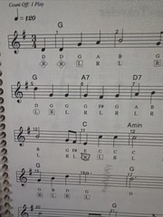 You Can Teach Yourself Dulcimer Instruction Book Spiral Bound Songbook Good