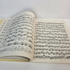 Melodious and Progressive Studies Book II Flute Sheet Music B 414 Cavally USA