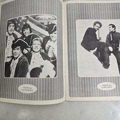 The Fabulous Golden 40 Song Book Piano Vocal Guitar Pop Music Photos Vintage
