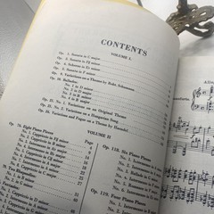 Vintage G Schirmer Brahms Piano Works Vol 1 Piano Score Yellow Vol 1757 USA