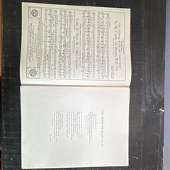 M. Witmark & Sons The Things We Meant to Do Sheet Music Voice/Piano W 2181