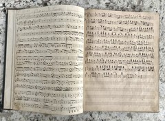 Handwritten Bound Sheet Music 1880s German Milwaukee Zither Violin Guitar Vocal