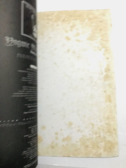 YNGWIE MALMSTEEN Perpetual Flame GUITAR SCORE JAPAN TAB