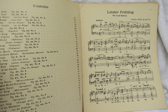 VTG-Grieg Album Collection Of The Best Compositions 112 Pages Theodore Presser