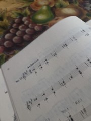 Mauro Giuliani 25 Etudes For Classical GuitarRare Book,Zen-On Series Jap Edition