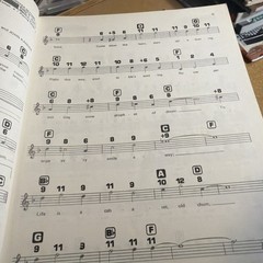 Magnus Chord Organ Songbook 12 – 16 Thick Format 112 Pages Good Condition