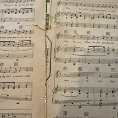 Ukulele Lady Sheet Music Produced By Irving Berlin 1925