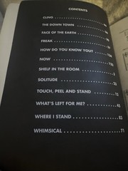 Days Of The New Yellow Guitar Book