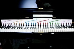 How to Play Keyboard Piano Beginners Music Book Teach Yourself in 1hr All Ages