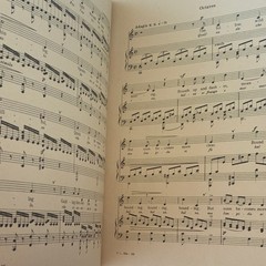 Theodore Presser Co. Sheet Music Voice Classical Solo Vaccai Collection 184