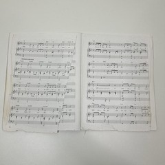 Jekyll & Hyde The Musical Sheet Music Piano Vocal Selections Cherry Lane Music