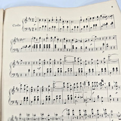 On the Beautiful Blue Danube Sheet Music Piano Johann Strauss Op 314 1901 Waltz