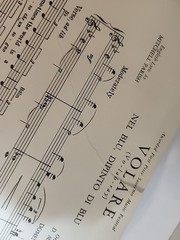 HIT SONGS FROM ITALY Songbook* 1958 ROBBINS MUSIC Volare CARA MIA Musetto LIBERO