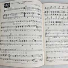 The Fabulous Golden 40 Song Book Piano Vocal Guitar Pop Music Photos Vintage