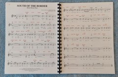 Best Chord Changes for Best Known Songs. 100 Standards, Professional Alterations