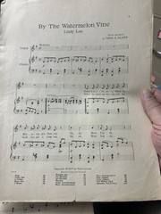1904 11×14 Ragtime sheet music BY THE WATERMELON VINE by Thos. Allen