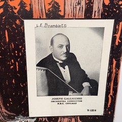Vintage 1939 Tales from the Vienna Woods Sheet Music Joseph Gallicchio Cover