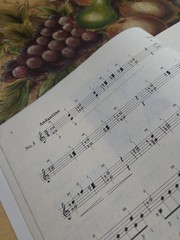 Mauro Giuliani 25 Etudes For Classical GuitarRare Book,Zen-On Series Jap Edition