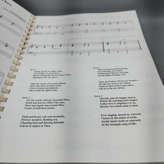The Piano Treasury of Hymns Piano Songbook Comb Bound No CD Good Condition