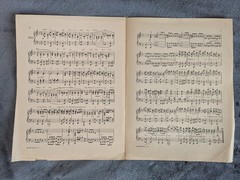March To The White House 1924 Sheet Music John W. Davis Democratic Committee