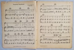 Mystery Folk Country Western Songbook Music Anthology 1929 M.M. Cole No Cover