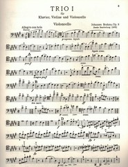 Johannes Brahms – Piano Trio in B major. Op. 8, or Piano, Violin and Cello