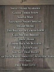 LYNYRD SKYNYRD GUITAR TAB / TABLATURE / **BRAND NEW** / ALL TIME GREATEST HITS